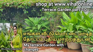 My Terrace Garden part-10 | எங்கள் வீட்டு மொட்டை மாடித் தோட்டம் மாற்றங்களுடன் | Anitha Kuppusamy