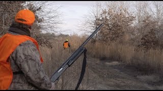 Rabbit Hunting with Beagles: Passing on an Arkansas Tradition