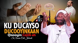 Ducooyinkaan Ku Ducayso + Qisooyin Macaan ⁴ᴷ┇ Sheekh Xuseen Cali Jabuuti 2024