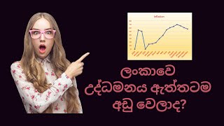 ලංකාවේ උද්ධමනය ඇත්තටම අඩු වෙලාද?