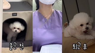 나이트전담간호사 출퇴근 루틴 | Night keep nurse‘s work and off-work routine [츄블리]