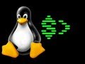 Shell Basics - If Then Else with Strings - Linux - BASH