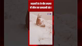 कड़कती ठंड के बीच तपस्या में लीन एक सनातनी संत ! #dastaknews24 #latestnews