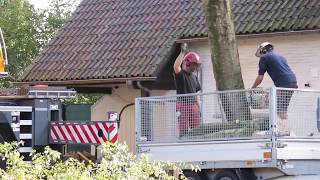 boomrooierij weijtmans in hilvarenbeek boom rooien