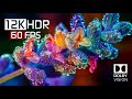12K HDR Video ULTRA HD 60 FPS - Dolby Vision