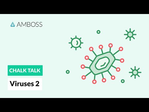 Which viruses are RNA viruses?