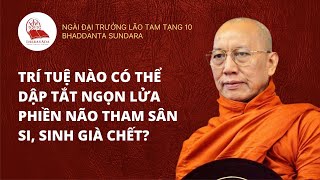 Ngài Tam Tạng 10 Thuyết: Trí Tuệ Nào Có Thể Dập Tắt Ngọn Lửa Phiền Não Tham Sân Si, Sinh Già Chết?