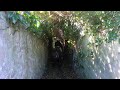 howth cliff walk martello tower