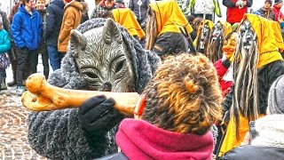 Fasnet Pfullingen Gruppen: Bronnweiler, Sickenhausen, Buttenhausen, Mössingen, Sonnenbühl, Calw.