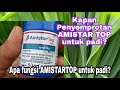 penyemprotan fungisida AMISTARTOP, dan apa fungsi untuk padi? #amistartop  #adamtvchannel