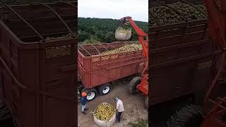 Loading a Truck