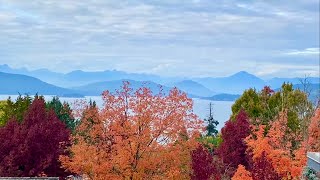 月夜愁+溫哥華的秋天  Autumn in Vancouver