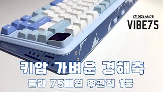 미안해 독거미.. 75배열은 얘가 1등😋 | MECHLANDS VIBE75