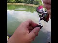 forellenangeln mit gummiködern trout baits jara lury 35