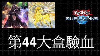 【Duel Links】第44大盒-CP值最高的一盒 驗血+簡單測試