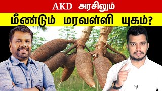 AKD அரசிலும் மீண்டும் மரவள்ளி யுகம்? | tamil | thanioruvan