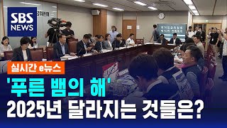 '푸른 뱀의 해'…2025년 달라지는 것들은? / SBS / 실시간 e뉴스