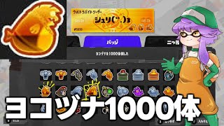 【苦節10年】ヨコヅナ1000体討伐！オカシラ金バッジゲット！！【サーモンランNW】