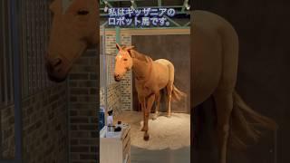 JAPAN ROBOT HORSE キッザニアのロボット馬です #日本 #shorts #kidzania