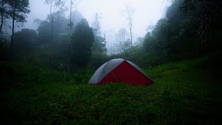 Solo Camping Hujan Deras Bersantai Di Tenda Tengah Hutan Bushcraft