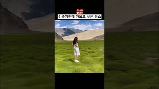 신기하고 놀라운 장면들 TOP5