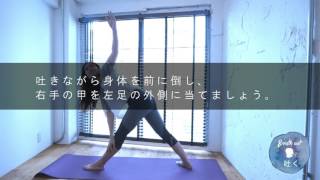 【NattyYoga】三角ねじりポーズのやり方