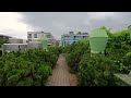 rooftop botanical garden in warsaw poland 2022