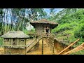 Building A Bamboo House Alone, Building A Life Lasting Hundreds Of Years In The Forest