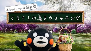 くまもと花博TV くまもとの鳥をウォッチング【緑化フェア推進室】