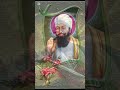 ਜਿਵੇਂ ਵਾਰਿਆ ਪਿਤਾ ਤੇ ਪੁੱਤਰ ਵੀ ਕੋਈ ਲਕੋਇਆ ਨਾ gurugobindsinghji punjabi sikhculture waheguru