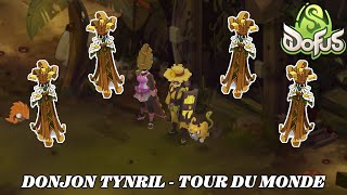 🏰 DONJON TYNRIL ⚔️ - TOUR DU MONDE 🌍 - DOFUS 3