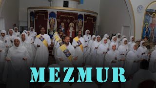 Eritrean Orthodox Tewahdo Mezmur ርእሰ አድባራት ደብረ ጽዮን ልደታ ማርያም ስቶክሆልም