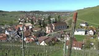 Weinwanderung Durbach