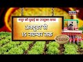 lentil farming मसूर की वैज्ञानिक तकनीक से बुवाई annadata news18 rajasthan latest news