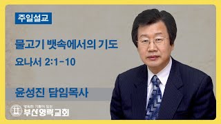 부산영락교회_20221009_주일설교_물고기 뱃속에서의 기도_요나 2장1-10절_윤성진목사