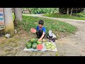 Orphan Boy - Building houses, Picking watermelons and pears to sell for a living