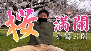 【福岡花見】舞鶴公園で満開の桜を楽しみました！