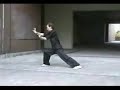 hungkuen 洪拳2