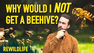 I don’t want honey bees- here's why