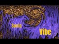 CaliKidOfficial - Sonic Vibe (Official Music Video)