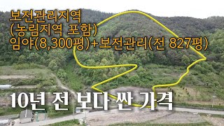 영천시 고경면 보전관리지역(농림지역포함) 임야8300평+보전관리 전827평 일괄매매