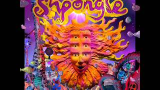 Shpongle [museum Of Consciousness]