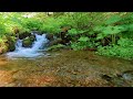 60 minutes of relaxing music for meditation relaxation or sleep