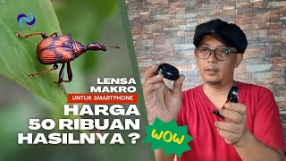 Video Makro Pakai Smartphone dengan Lensa 50 Ribuan