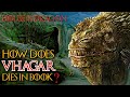 How Does Vhagar Die In The House Of The Dragon? The Largest Dragon Who Changed The War Completely!