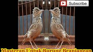 Playtube Pk Ultimate Video Sharing Website