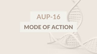 The mode of action of AUP-16, Aurealis Therapeutics game-changing  treatment for chronic wounds