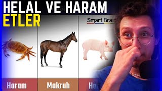 KAANFLIX | İSLAM'DA HELAL VE HARAM HAYVAN ETİ İZLİYOR (SmartBrain)