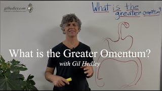 What is the Greater Omentum? Learn Integral Anatomy with Gil Hedley