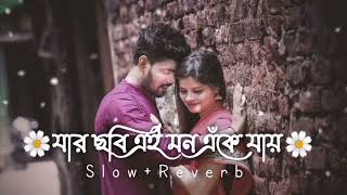 যার ছবি এই মন এঁকে যায় l jar Chobi Ei Mon Eke jay (Slowed+Reverb)💕 Bengali Romantic Lofi